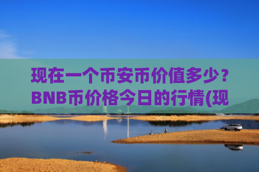 现在一个币安币价值多少？BNB币价格今日的行情(现价4870.26元)