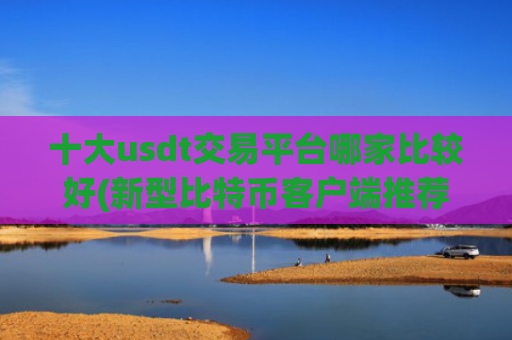 十大usdt交易平台哪家比较好(新型比特币客户端推荐)