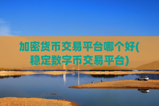 加密货币交易平台哪个好(稳定数字币交易平台)