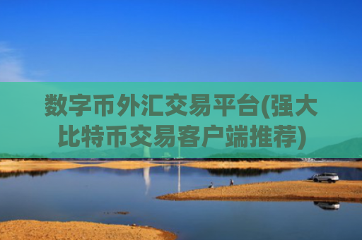 数字币外汇交易平台(强大比特币交易客户端推荐)