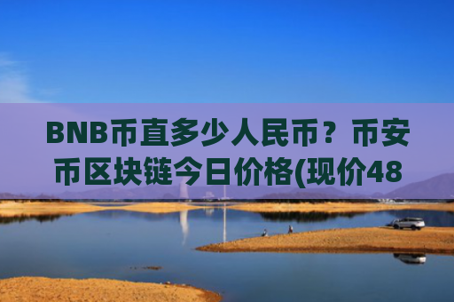 BNB币直多少人民币?币安币区块链今日价格(现价4873.7元)