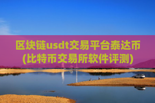 区块链usdt交易平台泰达币(比特币交易所软件评测)