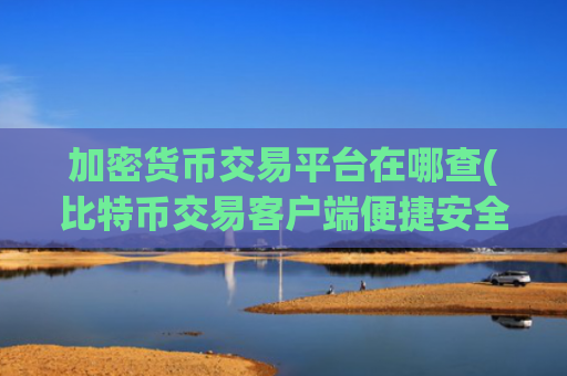 加密货币交易平台在哪查(比特币交易客户端便捷安全交易)