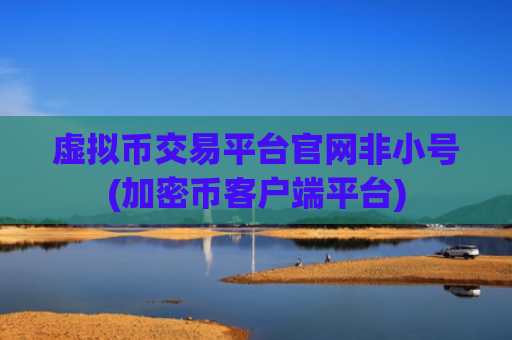 虚拟币交易平台官网非小号(加密币客户端平台)