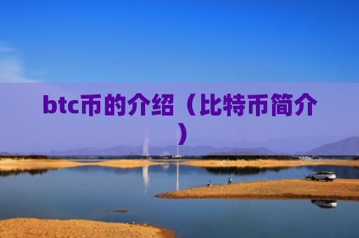btc币的介绍(比特币简介)