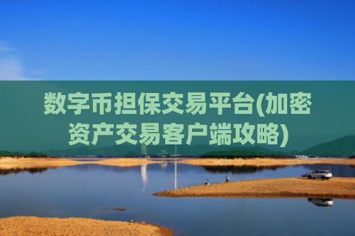 数字币担保交易平台(加密资产交易客户端攻略)