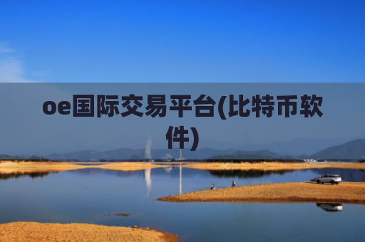 oe国际交易平台(比特币软件)