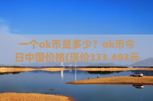 一个ok币是多少?ok币今日中国价格(现价333.493元)