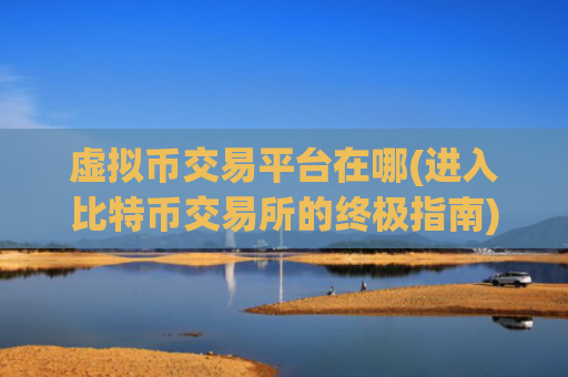 虚拟币交易平台在哪(进入比特币交易所的终极指南)