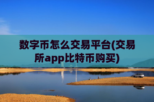 数字币怎么交易平台(交易所app比特币购买)