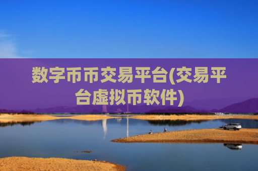 数字币币交易平台(交易平台虚拟币软件)
