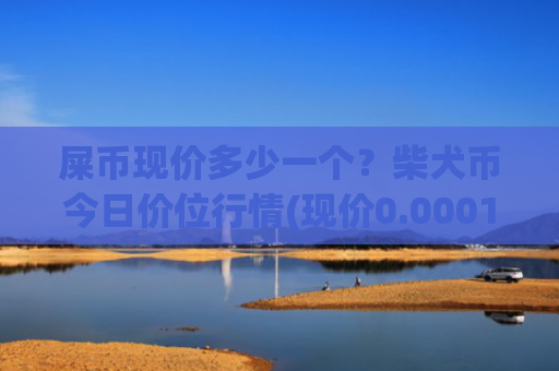 屎币现价多少一个?柴犬币今日价位行情(现价0.00015691元)