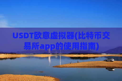 USDT欧意虚拟器(比特币交易所app的使用指南)