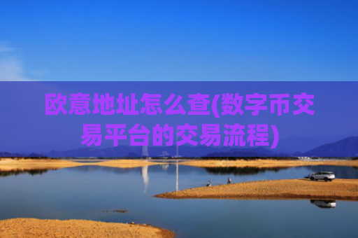 欧意地址怎么查(数字币交易平台的交易流程)