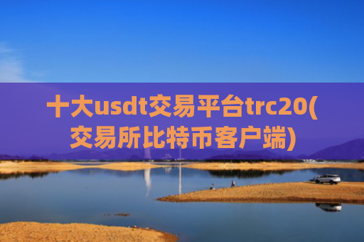 十大usdt交易平台trc20(交易所比特币客户端)