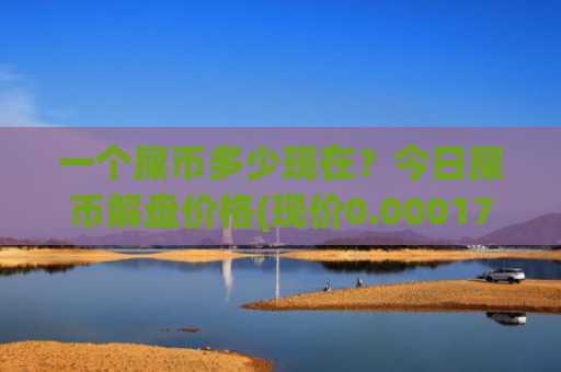 一个屎币多少现在?今日屎币解盘价格(现价0.00017143元)