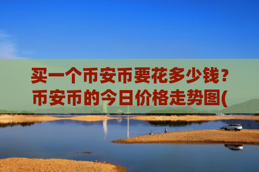 买一个币安币要花多少钱?币安币的今日价格走势图(现价5048.07元)