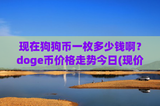 现在狗狗币一枚多少钱啊？doge币价格走势今日(现价2.5596元)