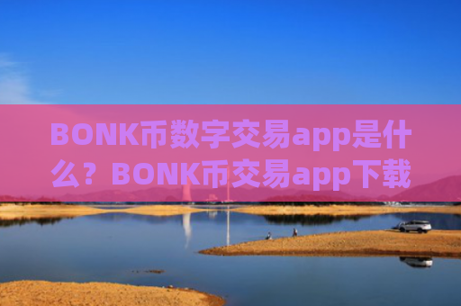 BONK币数字交易app是什么？BONK币交易app下载招代理