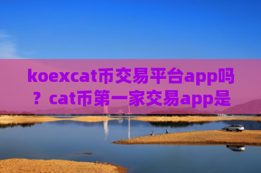 koexcat币交易平台app吗？cat币第一家交易app是