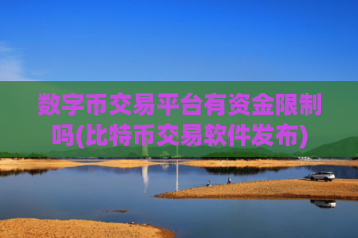 数字币交易平台有资金限制吗(比特币交易软件发布)