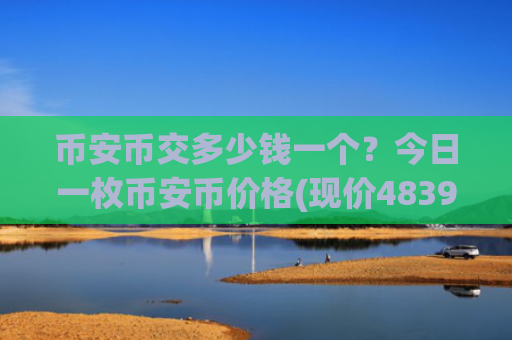 币安币交多少钱一个？今日一枚币安币价格(现价4839.91元)