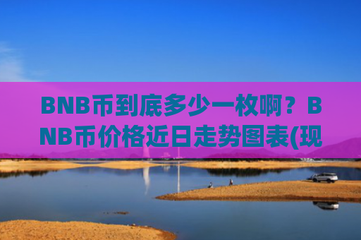 BNB币到底多少一枚啊？BNB币价格近日走势图表(现价4840.71元)