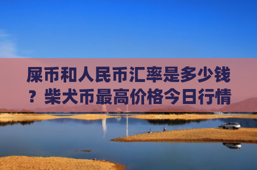 屎币和人民币汇率是多少钱？柴犬币最高价格今日行情(现价0.00015887元)