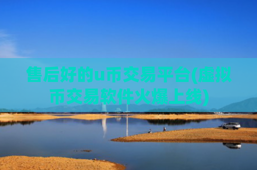 售后好的u币交易平台(虚拟币交易软件火爆上线)