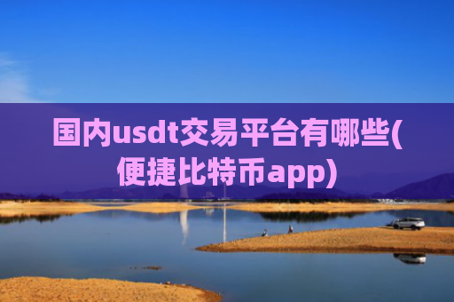 国内usdt交易平台有哪些(便捷比特币app)