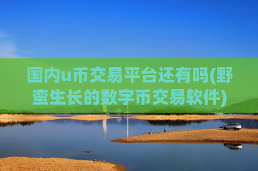 国内u币交易平台还有吗(野蛮生长的数字币交易软件)