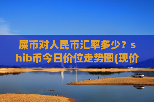 屎币对人民币汇率多少?shib币今日价位走势图(现价0.0001607元)