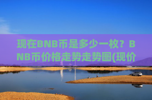 现在BNB币是多少一枚？BNB币价格走势走势图(现价4859.47元)