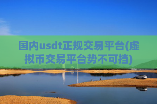 国内usdt正规交易平台(虚拟币交易平台势不可挡)