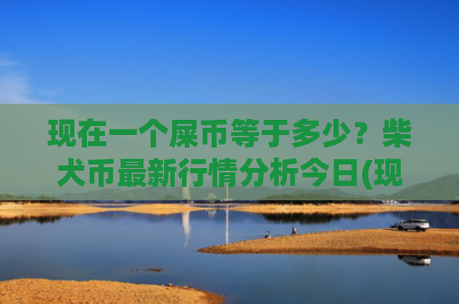 现在一个屎币等于多少?柴犬币最新行情分析今日(现价0.00016194元)