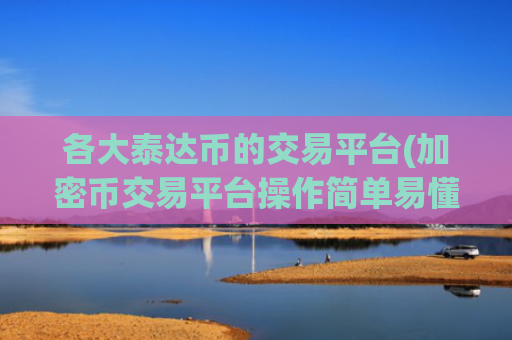 各大泰达币的交易平台(加密币交易平台操作简单易懂)