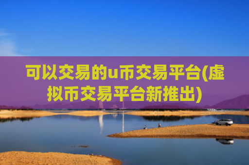 可以交易的u币交易平台(虚拟币交易平台新推出)