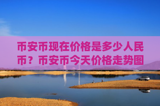 币安币现在价格是多少人民币?币安币今天价格走势图(现价4873.17元)