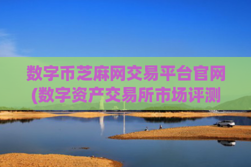 数字币芝麻网交易平台官网(数字资产交易所市场评测)