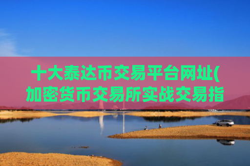 十大泰达币交易平台网址(加密货币交易所实战交易指南)