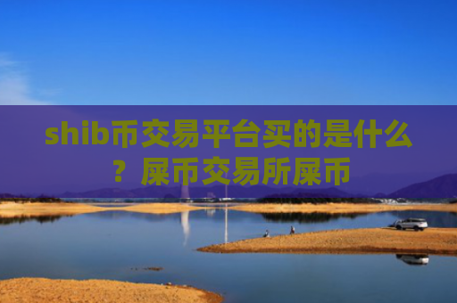 shib币交易平台买的是什么？屎币交易所屎币