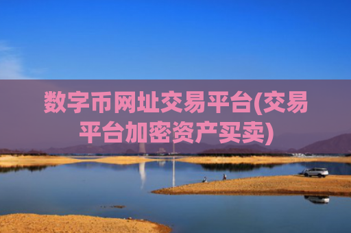 数字币网址交易平台(交易平台加密资产买卖)