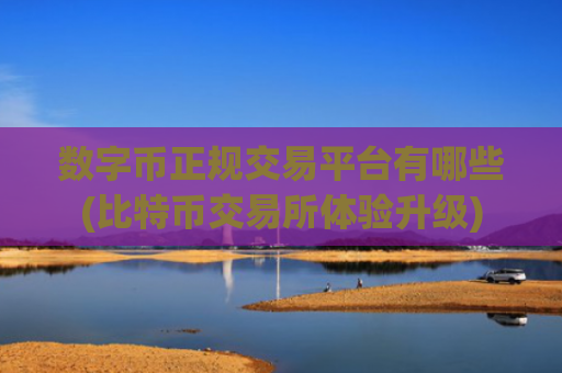 数字币正规交易平台有哪些(比特币交易所体验升级)