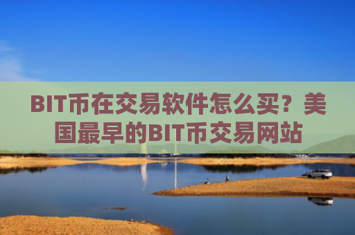 BIT币在交易软件怎么买？美国最早的BIT币交易网站