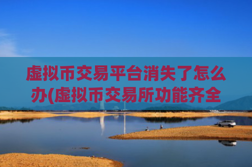 虚拟币交易平台消失了怎么办(虚拟币交易所功能齐全)