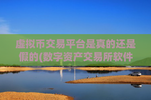 虚拟币交易平台是真的还是假的(数字资产交易所软件优劣评比)