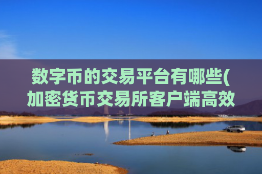 数字币的交易平台有哪些(加密货币交易所客户端高效便捷)