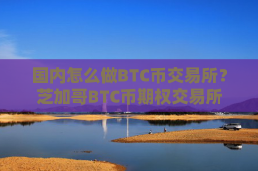 国内怎么做BTC币交易所?芝加哥BTC币期权交易所