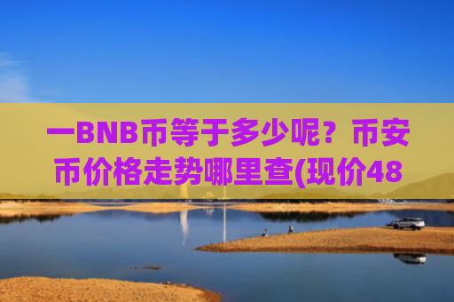 一BNB币等于多少呢?币安币价格走势哪里查(现价4805.11元)