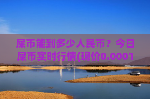 屎币能到多少人民币？今日屎币实时行情(现价0.00015661元)